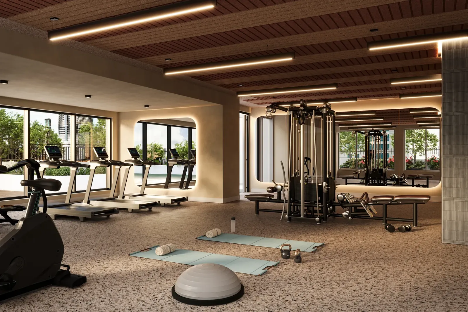 Gimnasio