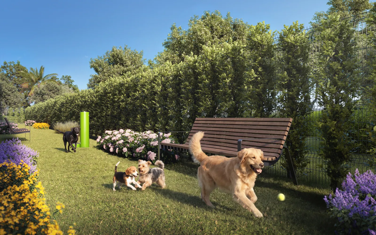 Seventeen Gables — Parque para Perros