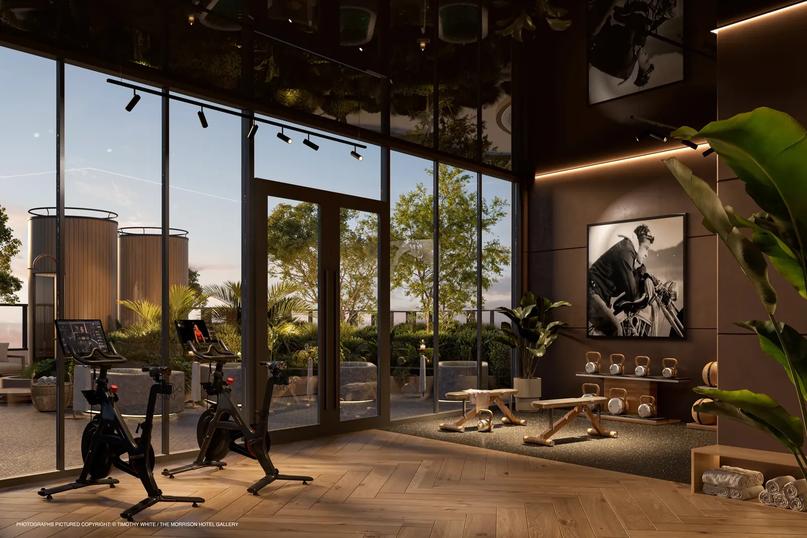 The Rider — Gym